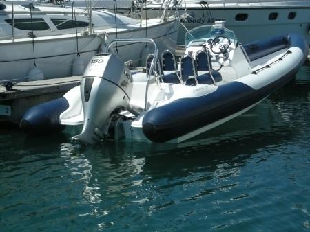 Ribeye - Demon 7.5 Sport Rib
