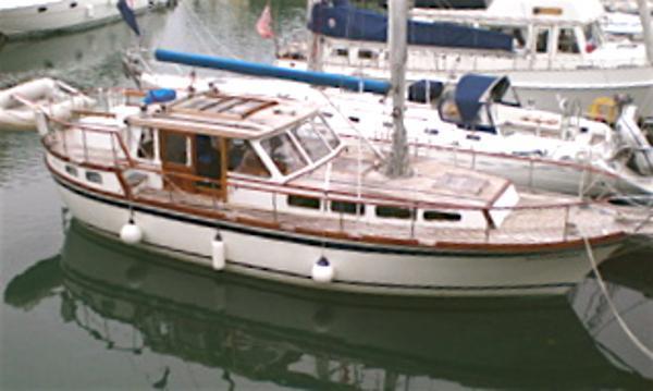 Sea Finn - 39