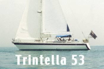 Trintella 53
