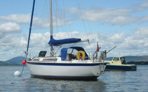 Colvic Sailer 296