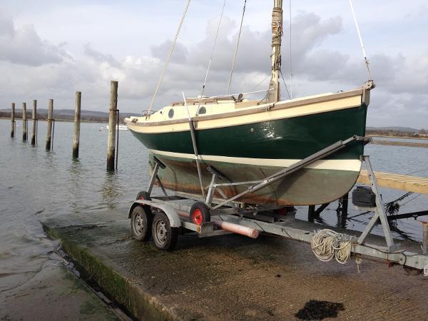 Mayfly Classics Oystercatcher 16