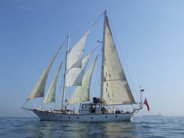 Staysail Schooner C-Witch Class