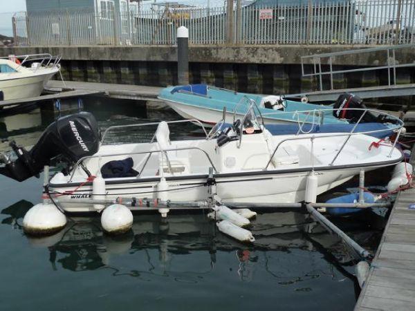 Boston Whaler Montauk 15