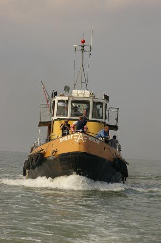 Pilot Boat Tug