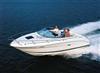 Sea Ray 225